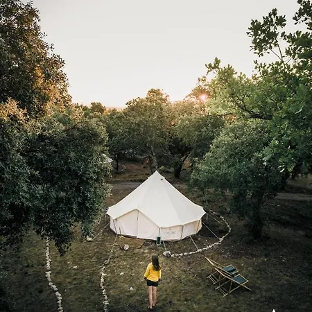 Lodg'ing Nature Camp Luberon Luxury tent Saint-Michel-l'Observatoire