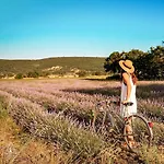 Lodg'ing Nature Camp Luberon Saint-Michel-l'Observatoire
