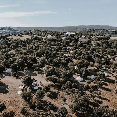 Lodg'ing Nature Camp Luberon 럭셔리텐트 Saint-Michel-lʼObservatoire