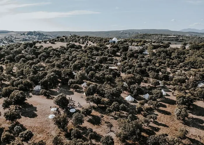 Lodg'ing Nature Camp Luberon אוהל מפואר Saint-Michel-lʼObservatoire