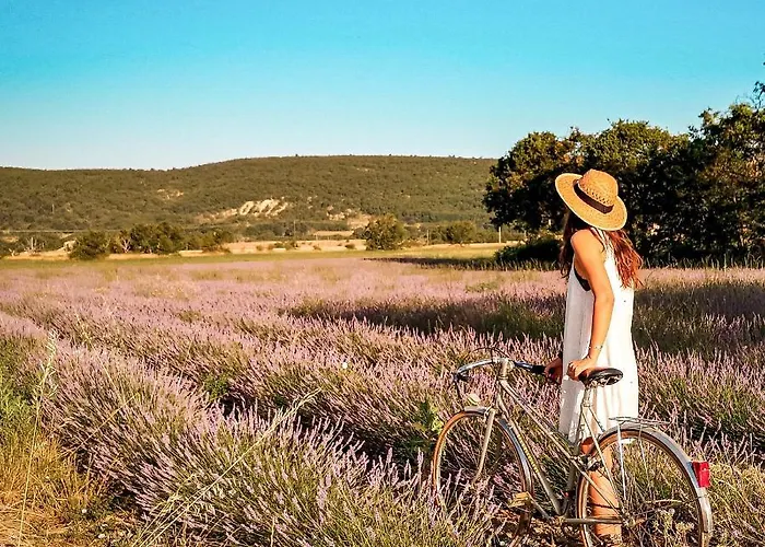 Lodg'ing Nature Camp Luberon Saint-Michel-lʼObservatoire