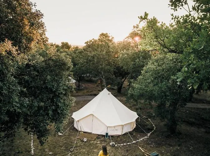 Lodg'ing Nature Camp Luberon אוהל מפואר Saint-Michel-lʼObservatoire